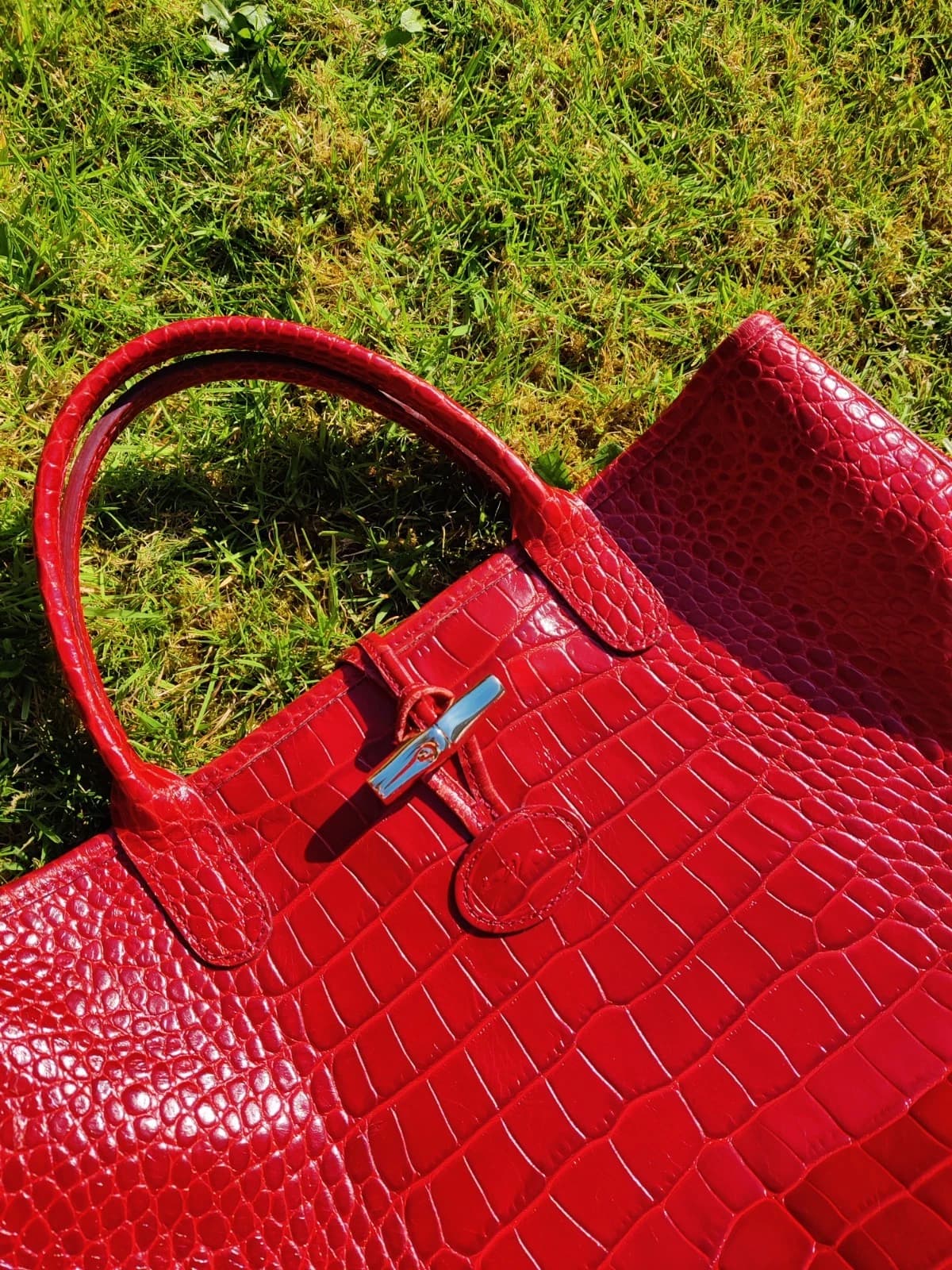 Longchamp Le Roseau Red Tote Bag - Image 5