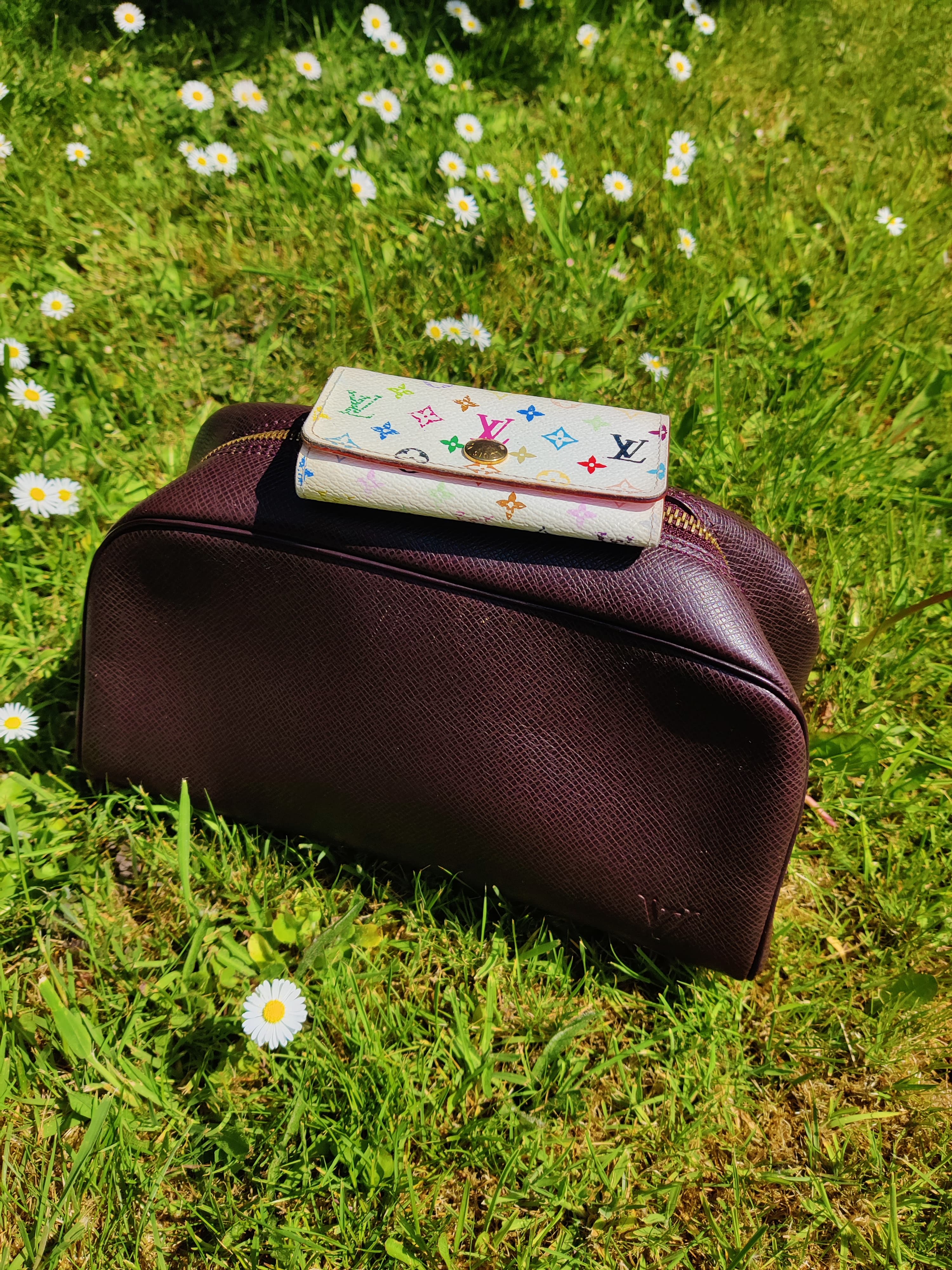 Louis Vuitton True Toilette PM Taiga Bordeaux - Image 2